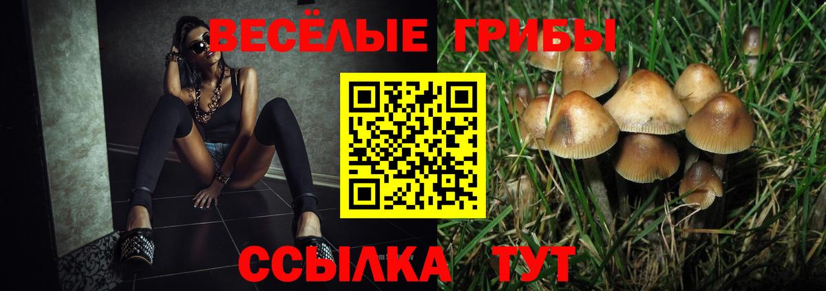 Псилоцибиновые грибы GOLDEN TEACHER  Вход с VPN  Усть-Джегута 